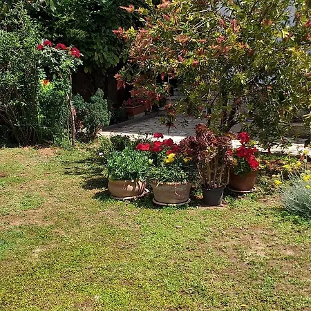 With Parking Space - Diklo, - 5908 Zadar