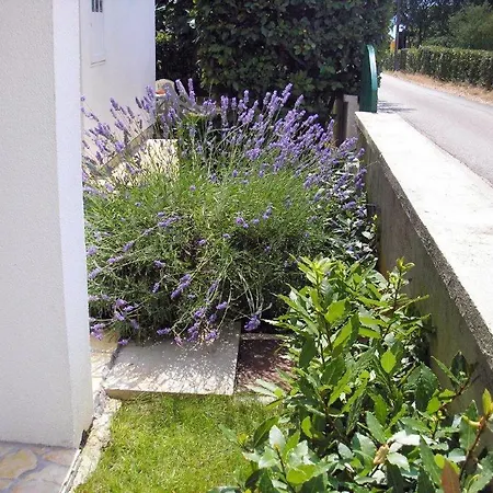 With Parking Space - Diklo, - 5908 Zadar