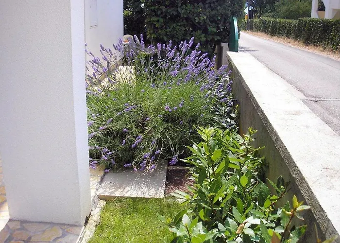 With Parking Space - Diklo, - 5908 Zadar